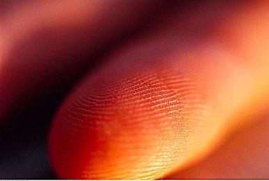 手游《勇气默示录Brilliant Lights》将于明年2月28日停服